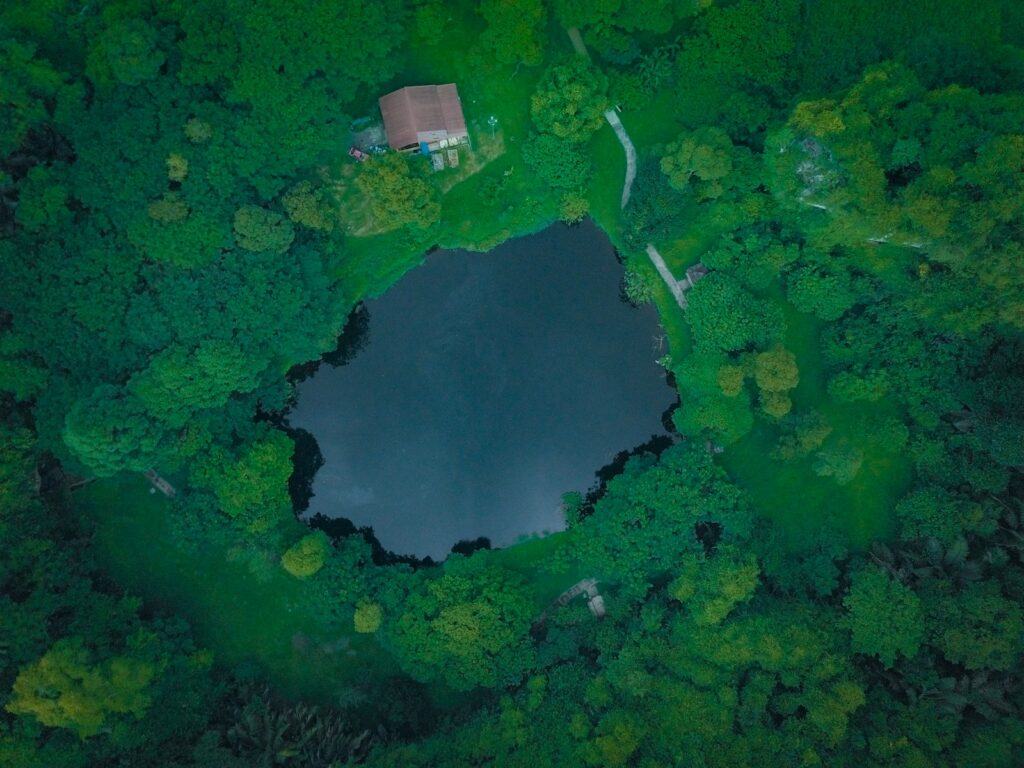 aerial photo of a body of water between trees