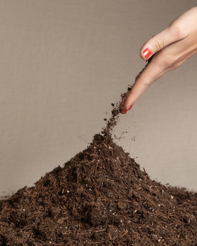 a woman's hand reaching into a pile of dirt
